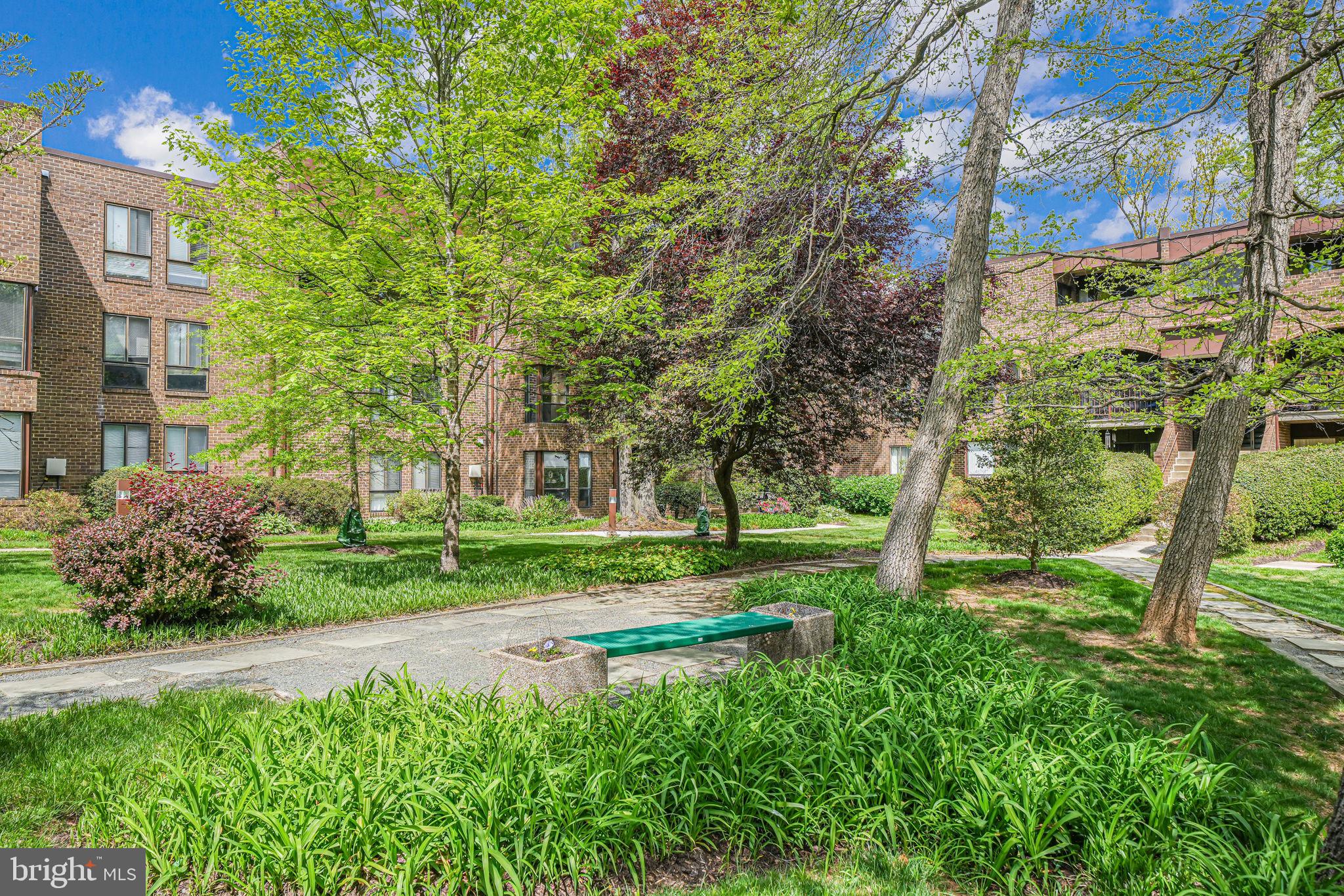 11220 Chestnut Grove Square, Unit 222 Reston, VA 20190 - Photo 31 of 35 a view of backyard with large trees