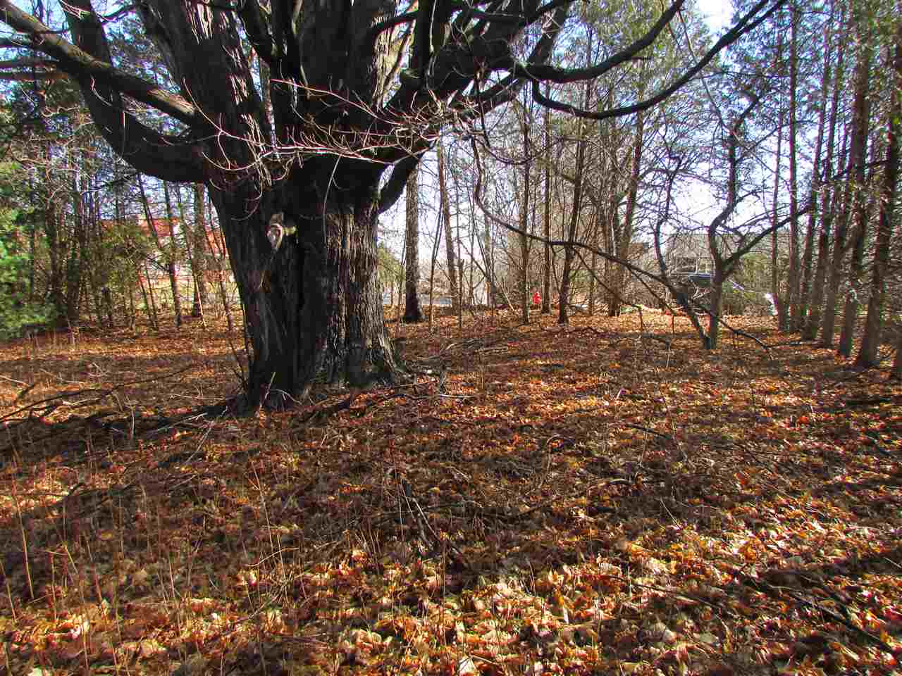 0 Winters Lane Alburgh, VT 05440 - Photo 4 of 6 Gallery Image 4