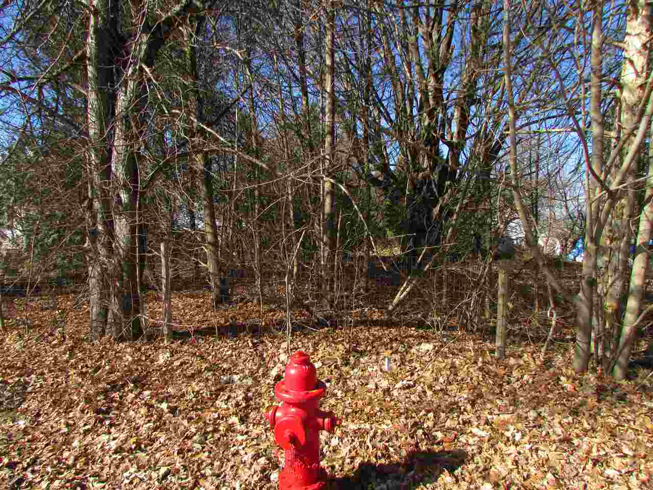 0 Winters Lane Alburgh, VT 05440 - Photo 6 of 6 Gallery Image 6