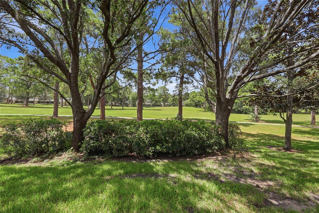 13200 West Newberry Road, Unit F29 Newberry, FL 32669 - Photo 26 of 35