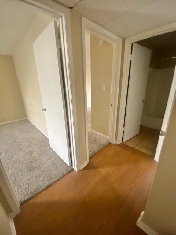 910 Duncan Lane, Unit 61 Austin, TX 78705 - Photo 13 of 22