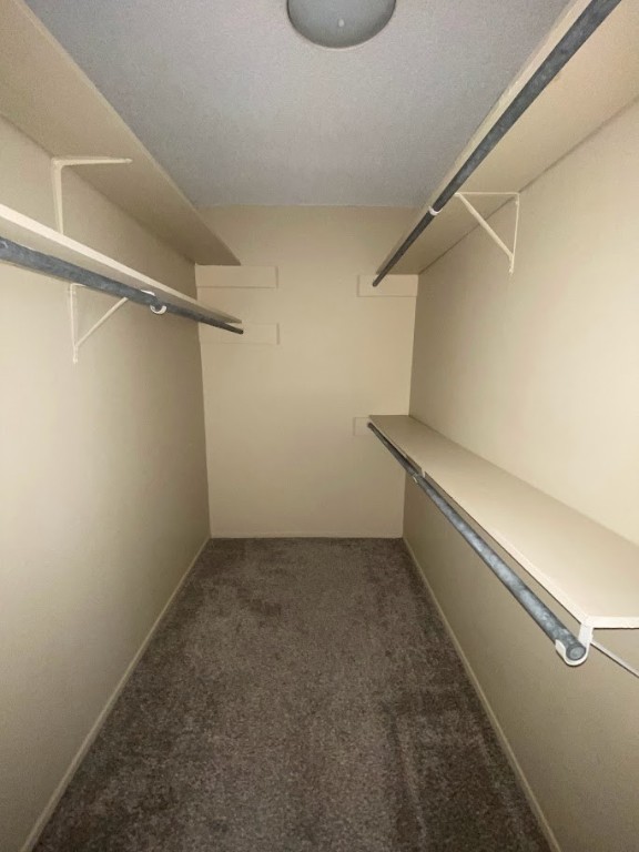 910 Duncan Lane, Unit 61 Austin, TX 78705 - Photo 17 of 22 a view of an empty walk in closet