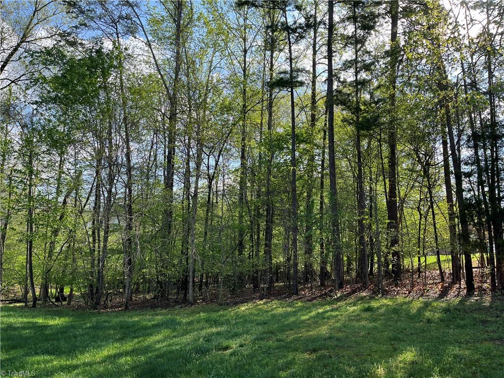 2662 Dandelion Drive High Point, NC 27265 - Photo 36 of 43