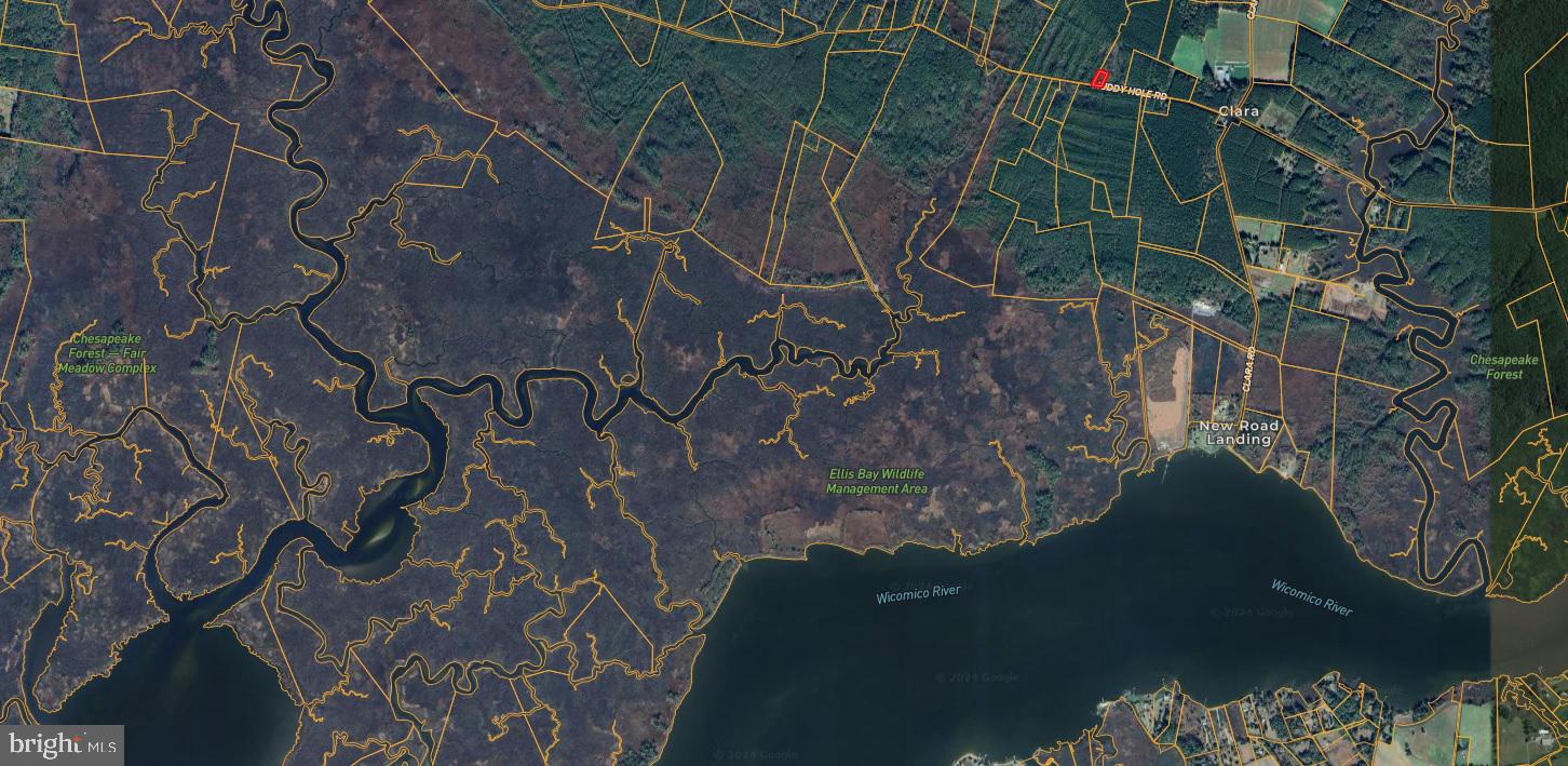 0 Muddy Hole Road Tyaskin, MD 21865 - Photo 2 of 2 Extensive acreage of state lands