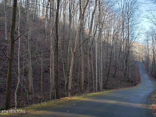 229 Sonshine Ridge Road Cosby, TN 37722 - Photo 5 of 22 20221216_103256