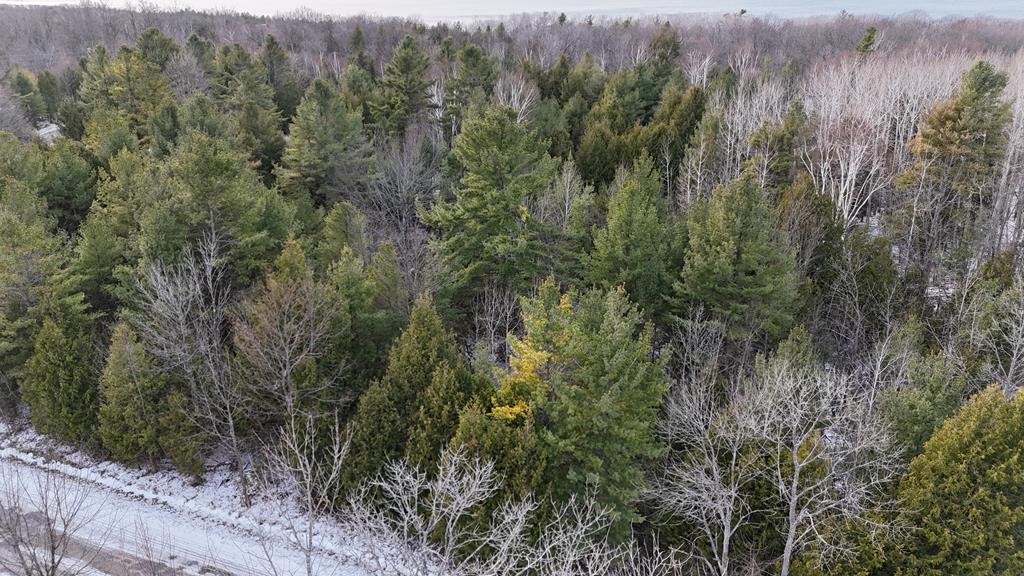 Parcel A Gibraltar Blf Road Fish Creek, WI 54212 - Photo 10 of 11
