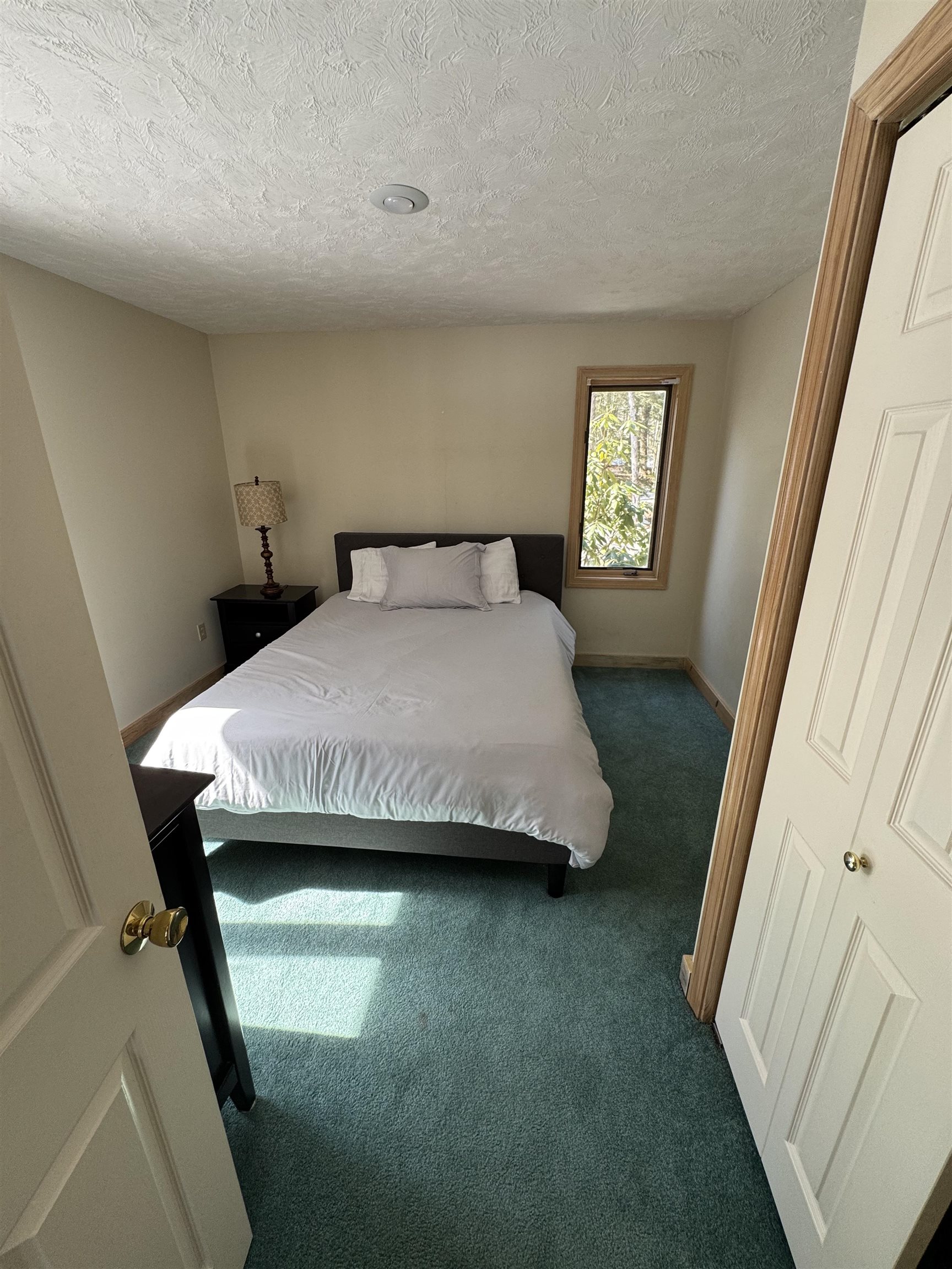 4 Mile Point Drive Meredith, NH 03253 - Photo 11 of 19