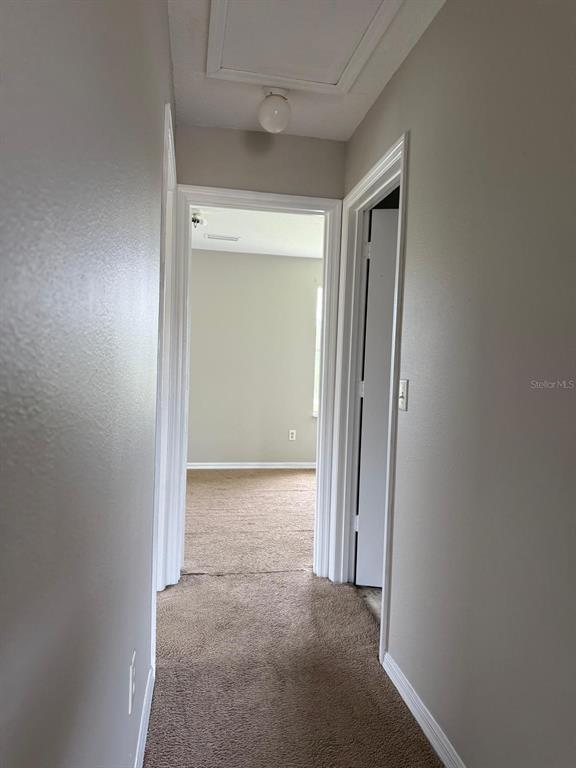 631 Washington Palm Loop Davenport, FL 33897 - Photo 10 of 15