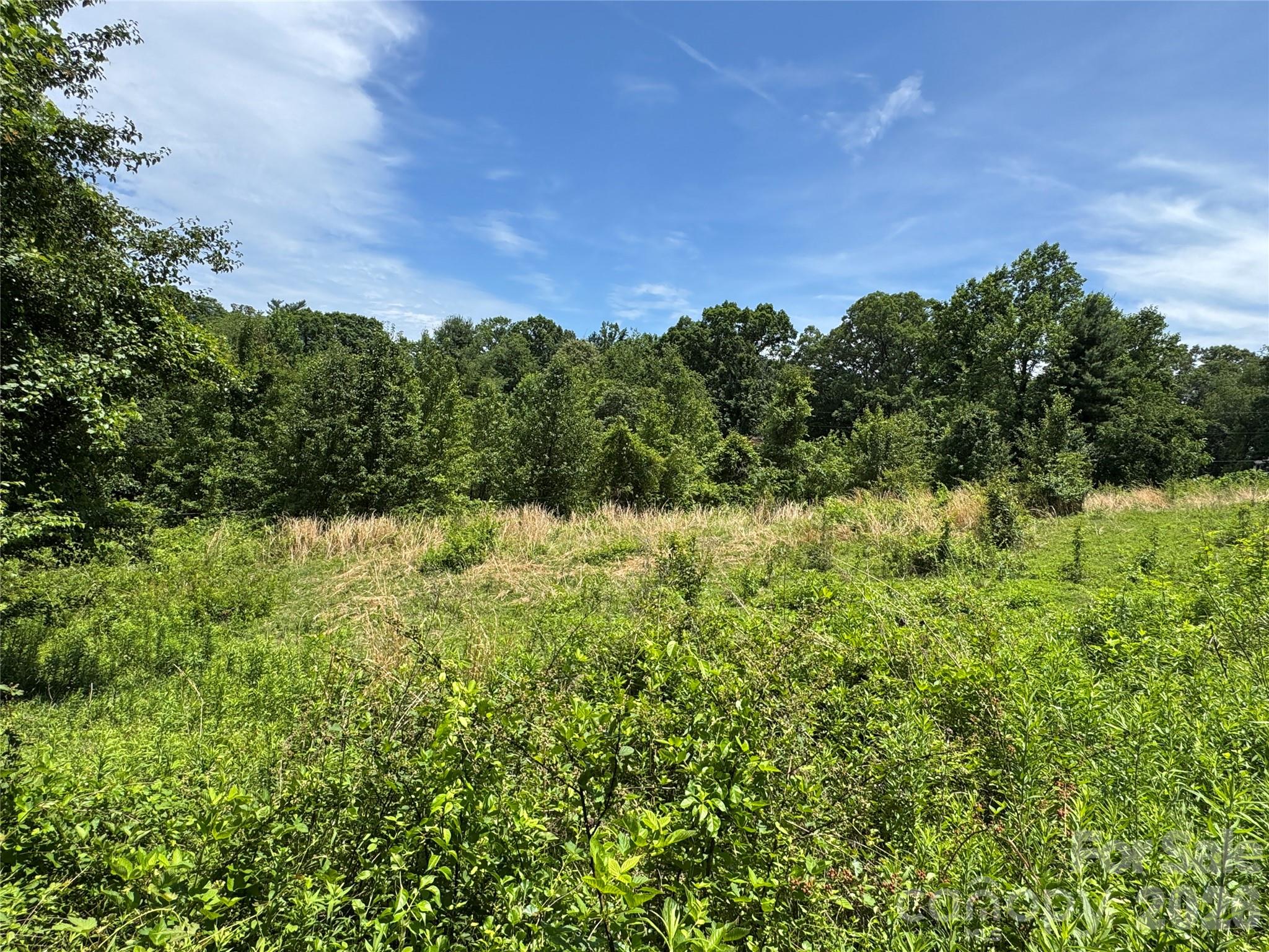 Tbd Duckett Road Candler, NC 28715 - Photo 5 of 17