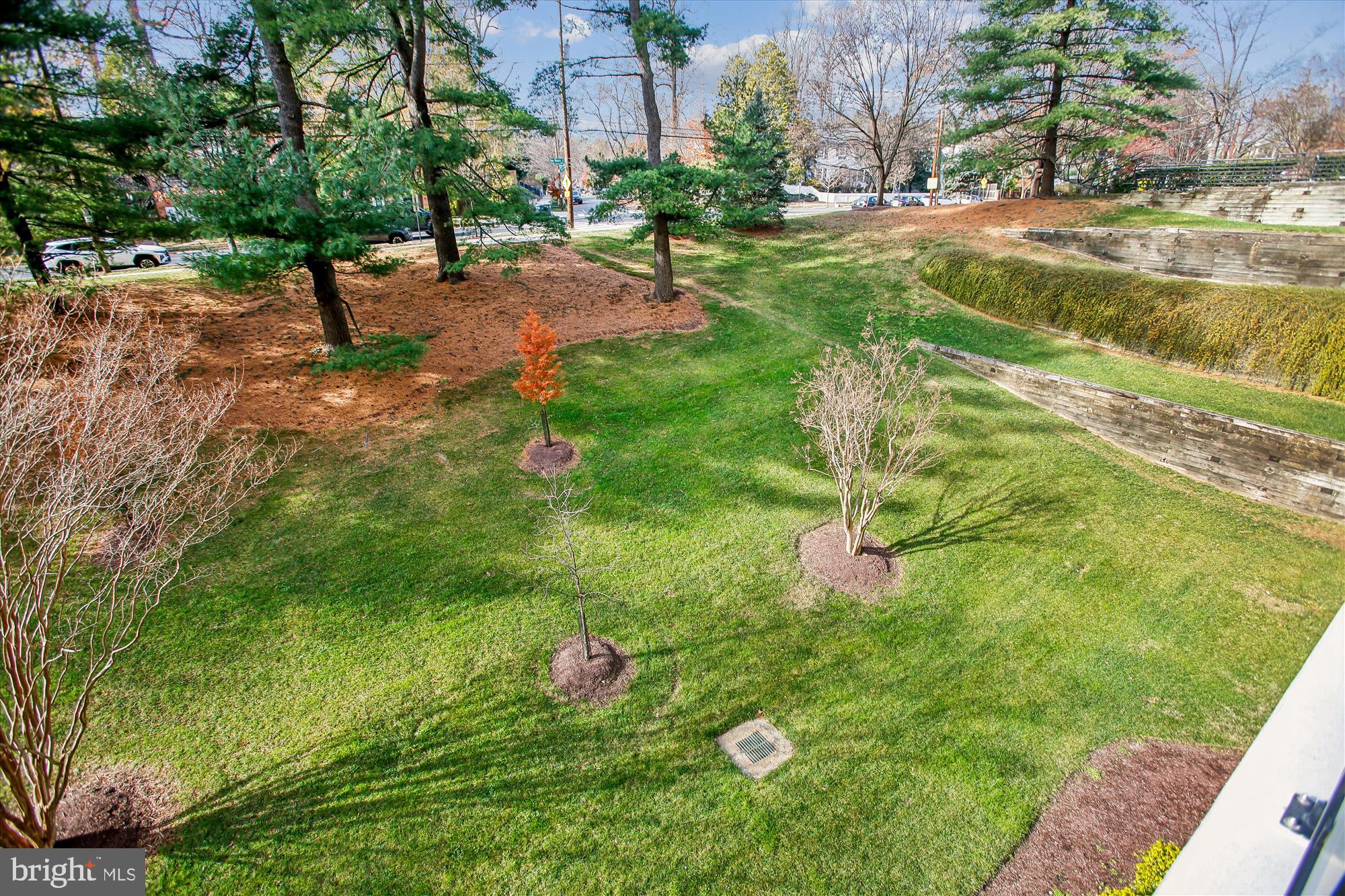 4201 Cathedral Avenue Northwest, Unit 407W Washington, DC 20016 - Photo 21 of 54 a backyard of a house with lots of green space