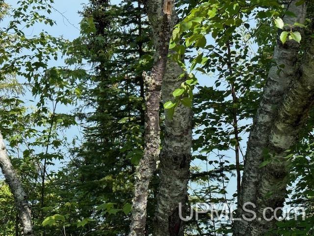 Five 5 Mile Pt Road, Unit LOT 15 OF KIDDER & ROCK S Allouez, MI 49805 - Photo 8 of 46