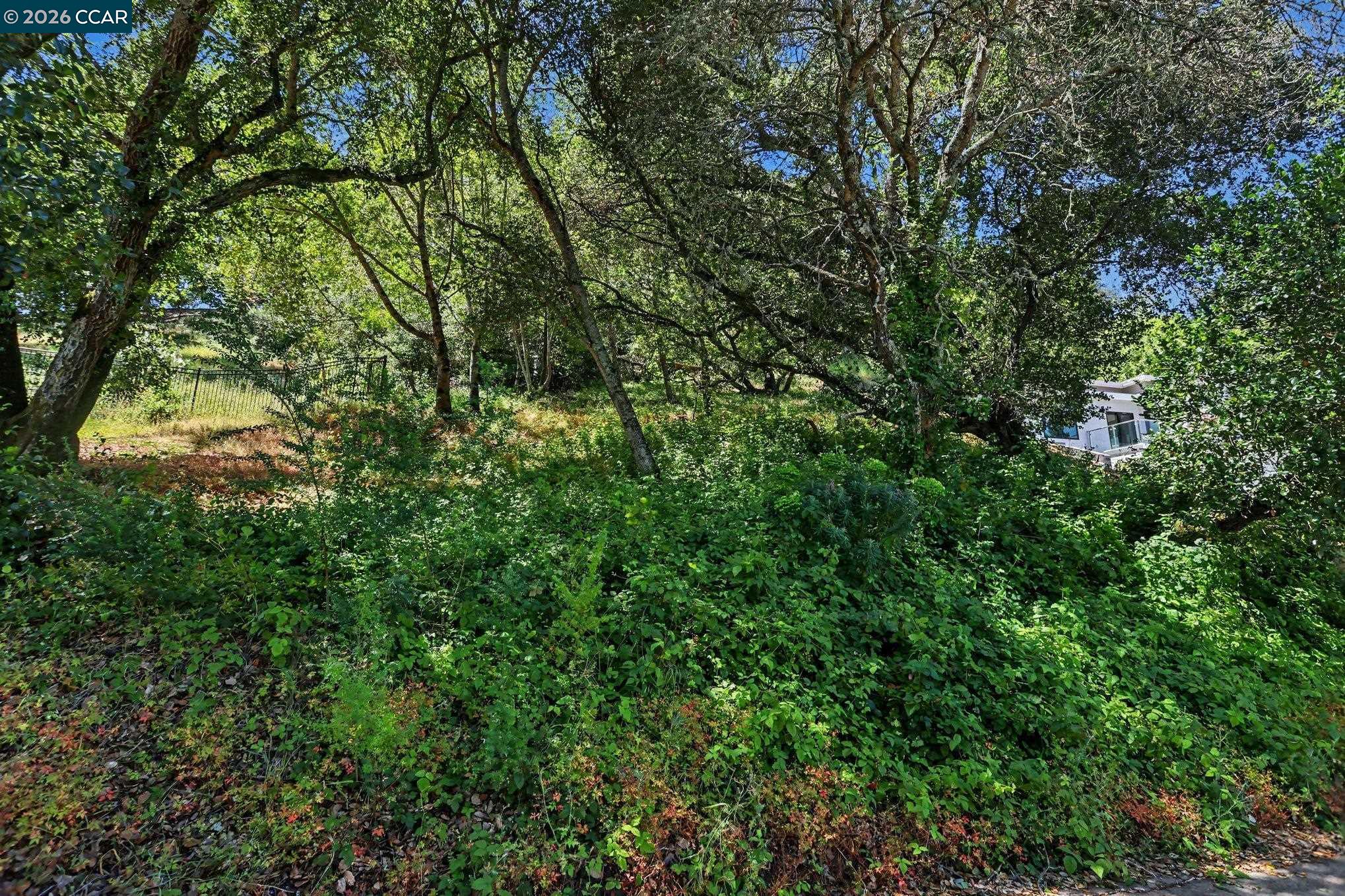46 Oak Road Orinda, CA 94563 - Photo 8 of 15 Gallery Image 8