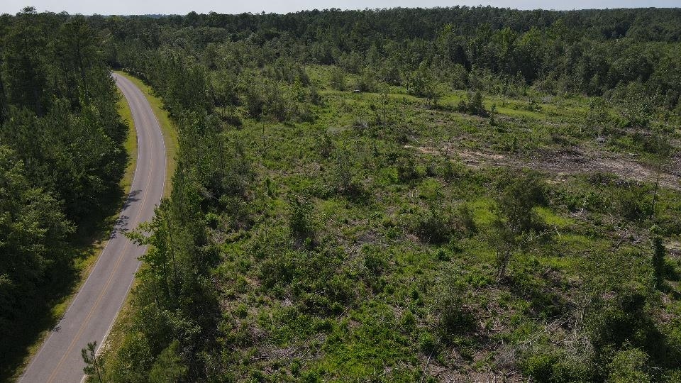 Hoyle Bryars Road Perdido, AL 36562 - Photo 10 of 12