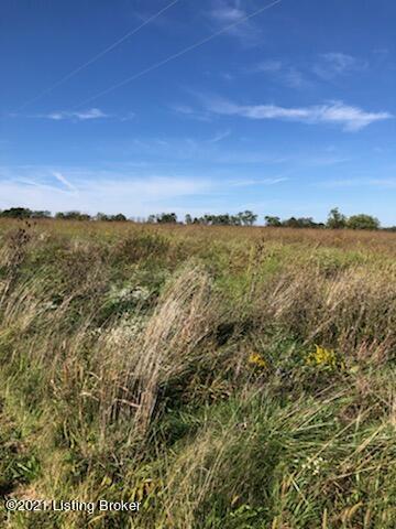 Lot 5 Sulphur Road New Castle, KY 40050 - Photo 4 of 4 vmatxsls06_1264669978819-4-3