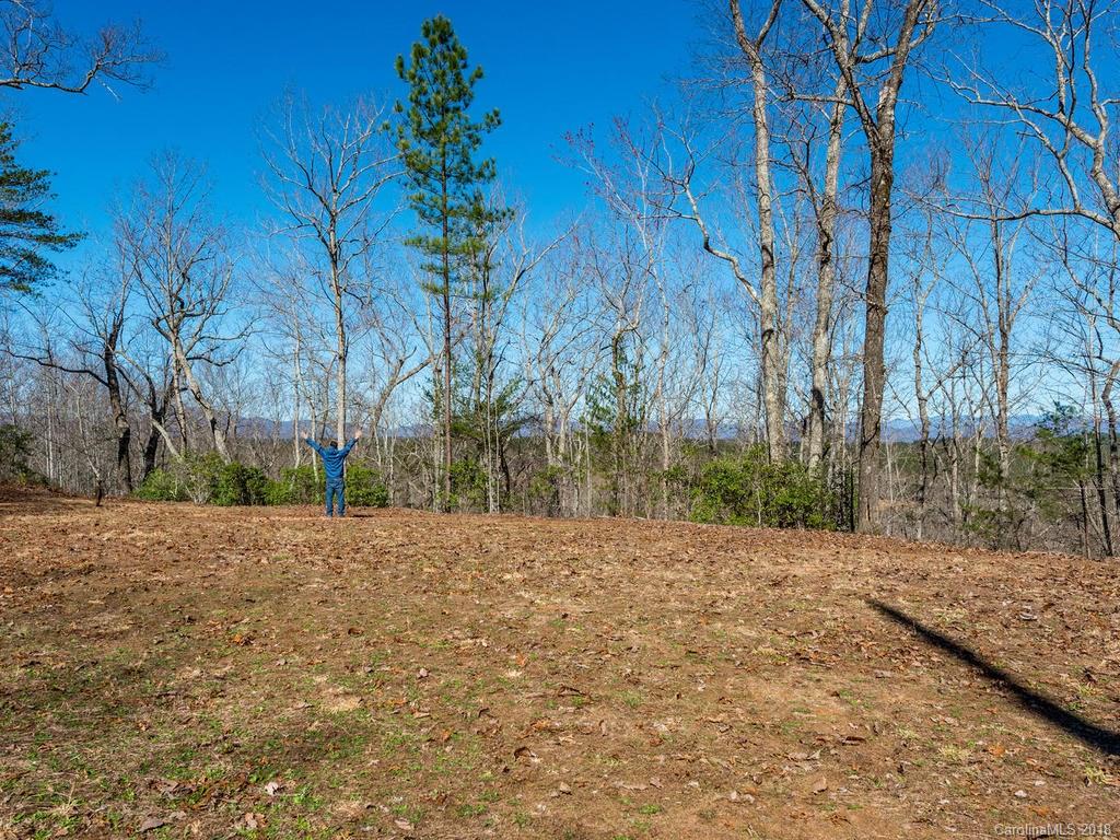 2831 Polk County Line Road Rutherfordton, NC 28139 - Photo 21 of 30 a wooden bench with view of trees