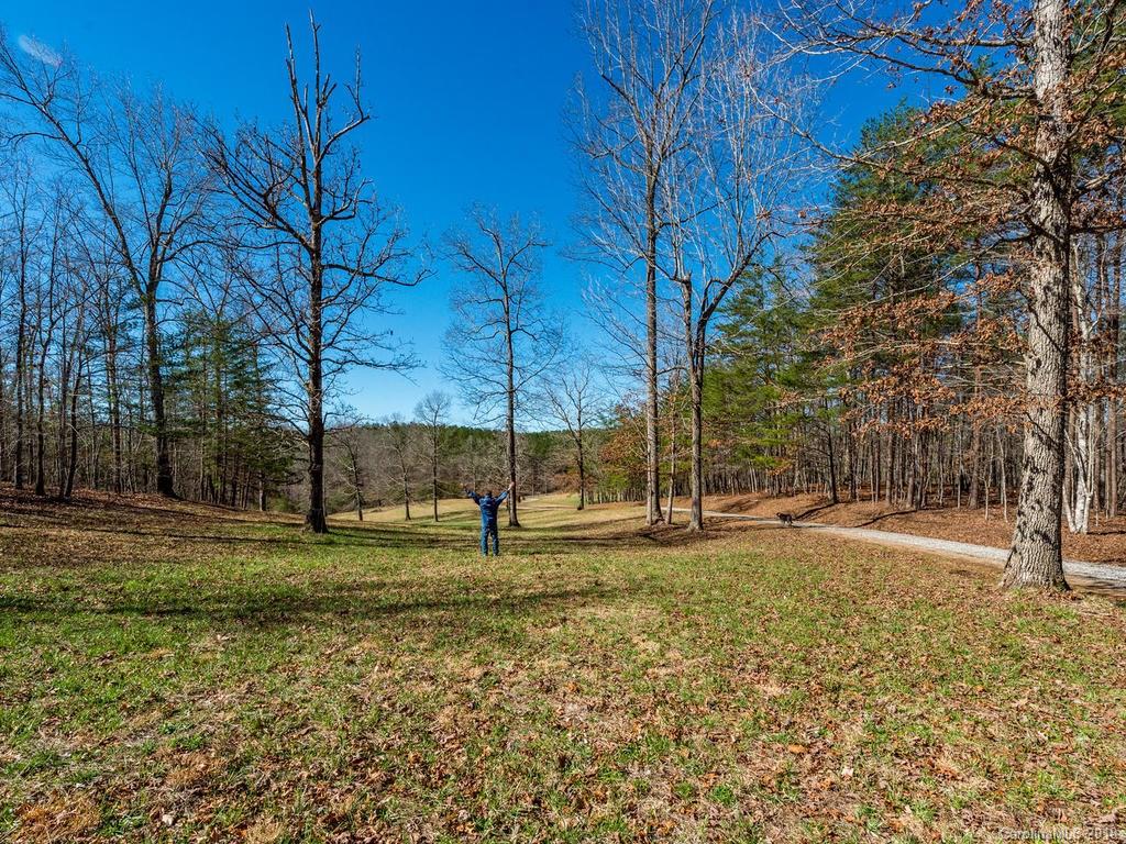 2831 Polk County Line Road Rutherfordton, NC 28139 - Photo 25 of 30 a view of a park with a tree