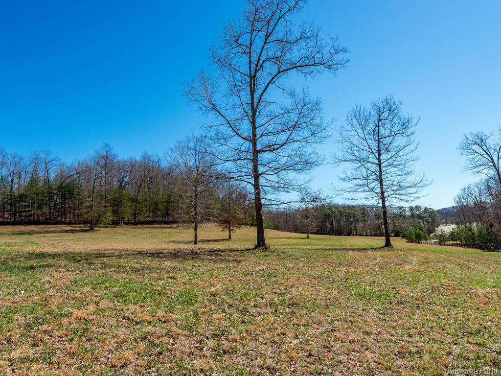 2831 Polk County Line Road Rutherfordton, NC 28139 - Photo 27 of 30 a view of empty area with green space