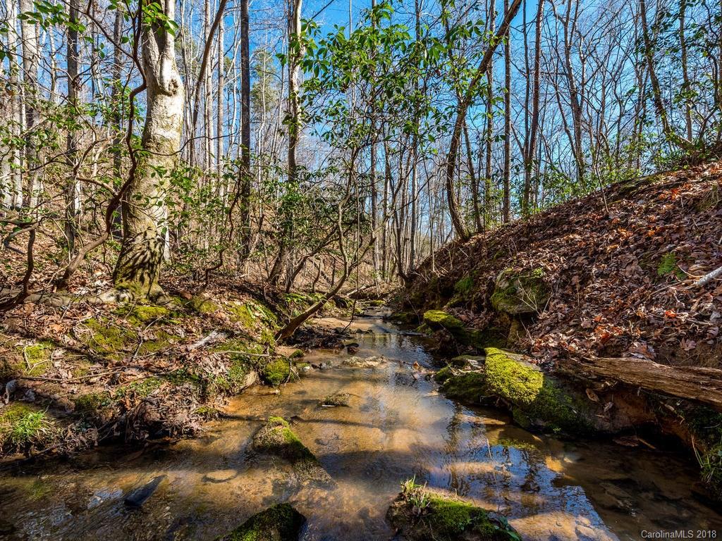 2831 Polk County Line Road Rutherfordton, NC 28139 - Photo 29 of 30 a backyard of a house