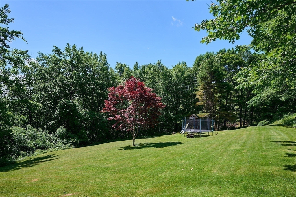 77 Reynolds Road Shelburne, MA 01370 - Photo 26 of 34 a backyard of a house with lots of green space
