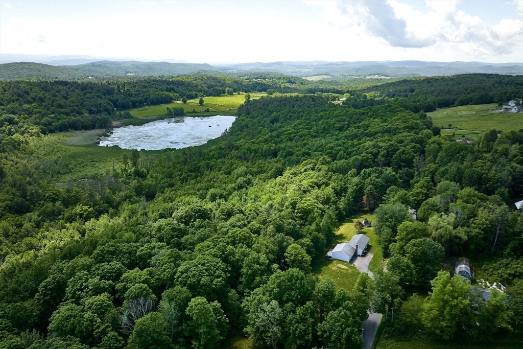 77 Reynolds Road Shelburne, MA 01370 - Photo 32 of 34 a view of a lush green forest with lots of trees