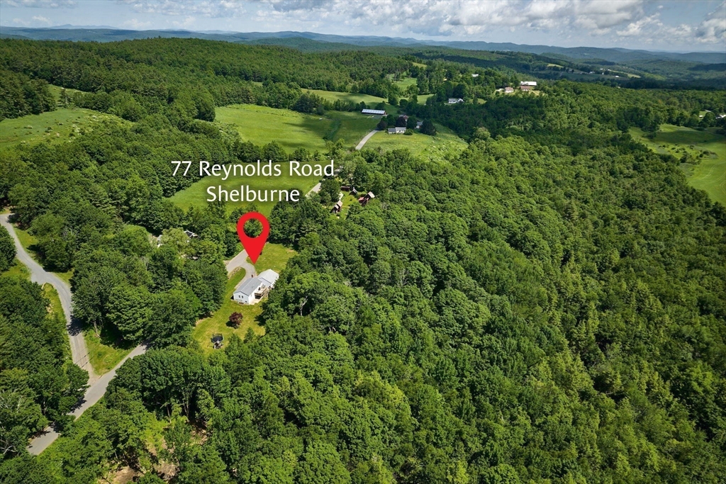 77 Reynolds Road Shelburne, MA 01370 - Photo 34 of 34 a view of a lush green forest with lots of trees
