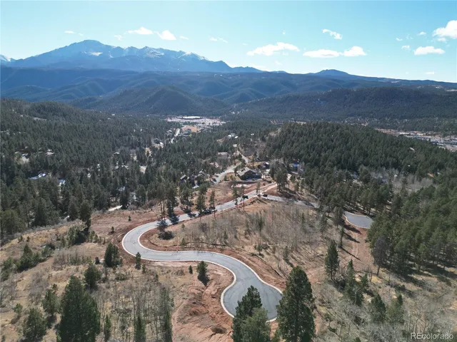 $1,800,000 | 1305 Blue Haven Place, Woodland Park, CO 80863