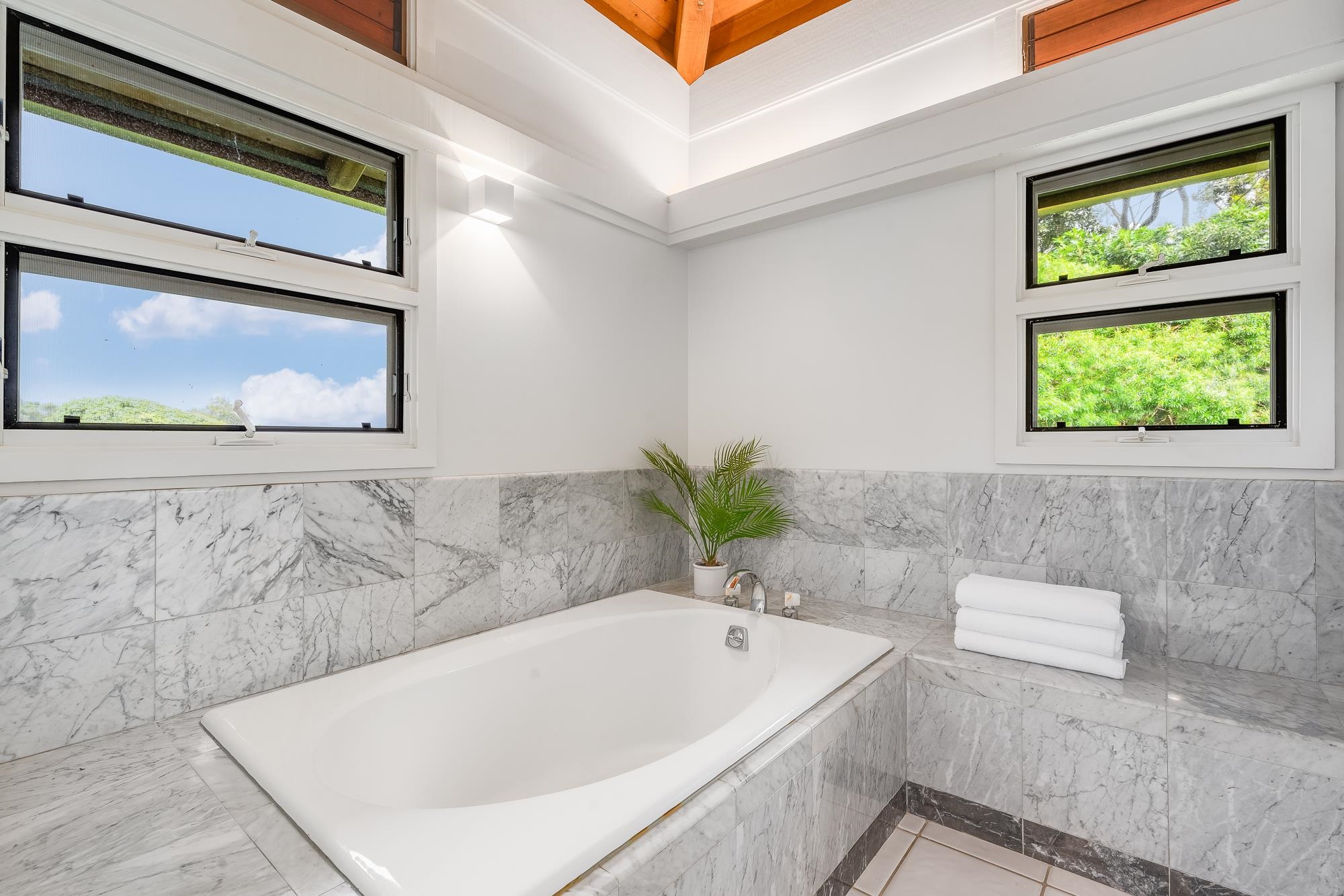 917 Hog Back Road Haiku, HI 96708 - Photo 12 of 30 a bathroom with a tub a potted plant and a window
