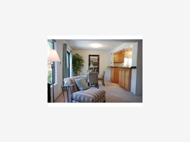 1583 Spring Street Mountain View, CA 94043 - Photo 2 of 9