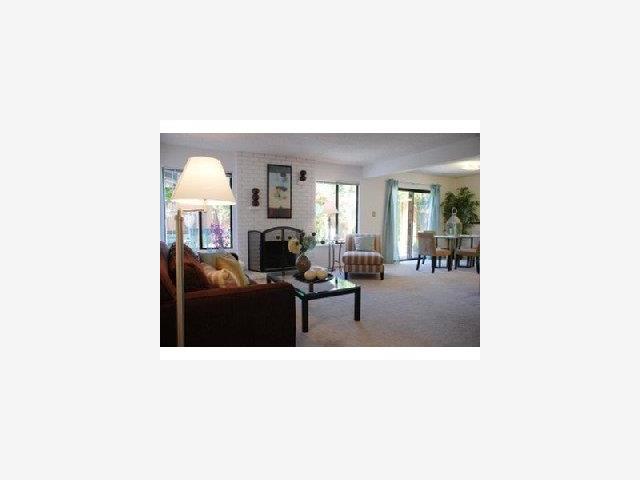 1583 Spring Street Mountain View, CA 94043 - Photo 5 of 9