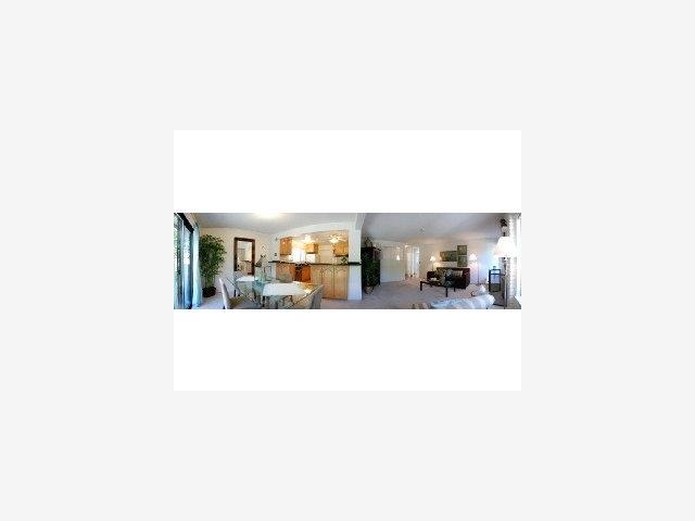 1583 Spring Street Mountain View, CA 94043 - Photo 7 of 9