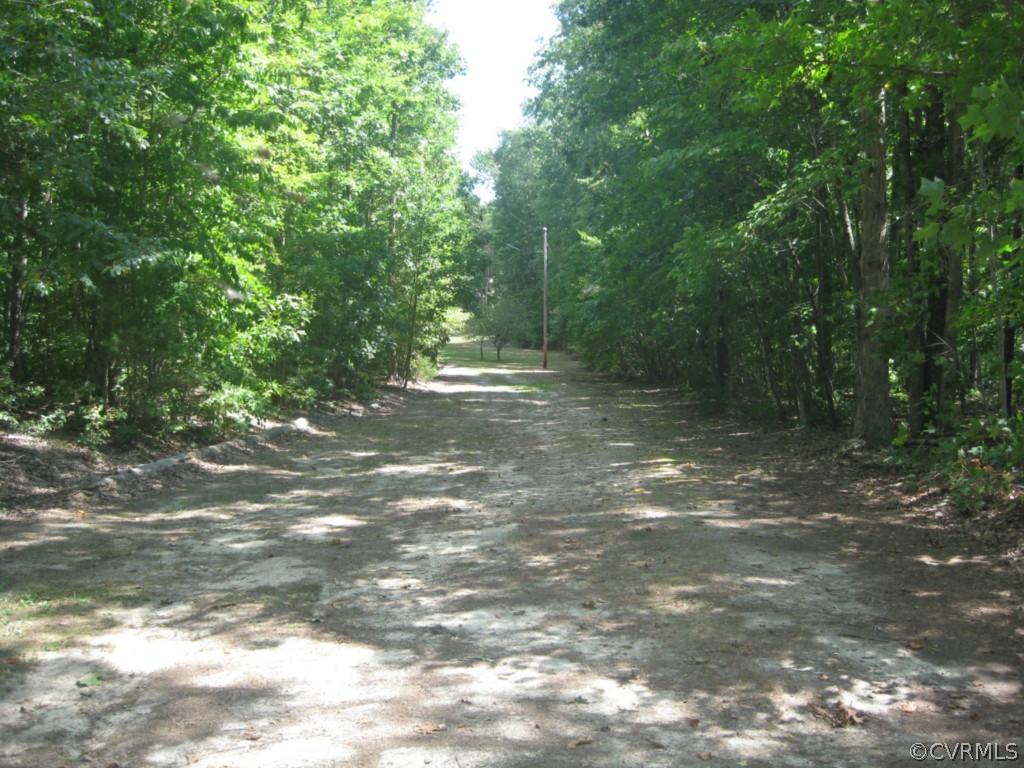 551 Buckskin Road Victoria, VA 23974 - Photo 18 of 18 a view of a forest with trees in the background