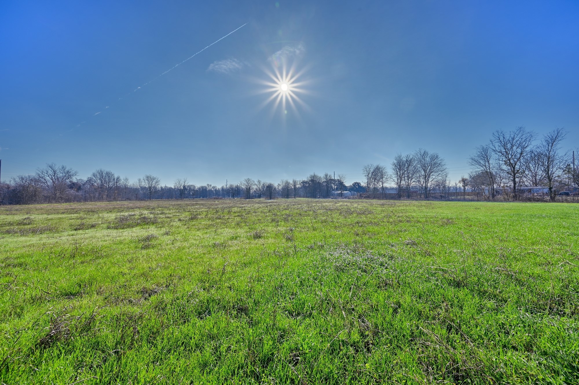 9524 Ferry Road Bellville, TX 77418 - Photo 2 of 15 a big yard with lots of green space in the back