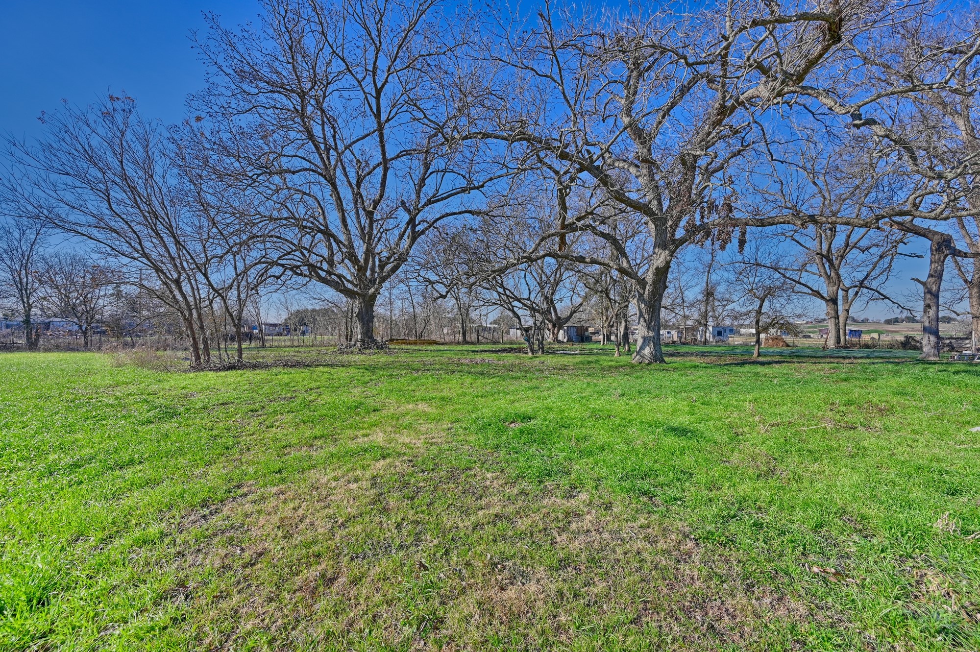 9524 Ferry Road Bellville, TX 77418 - Photo 3 of 15 a view of green field with large trees