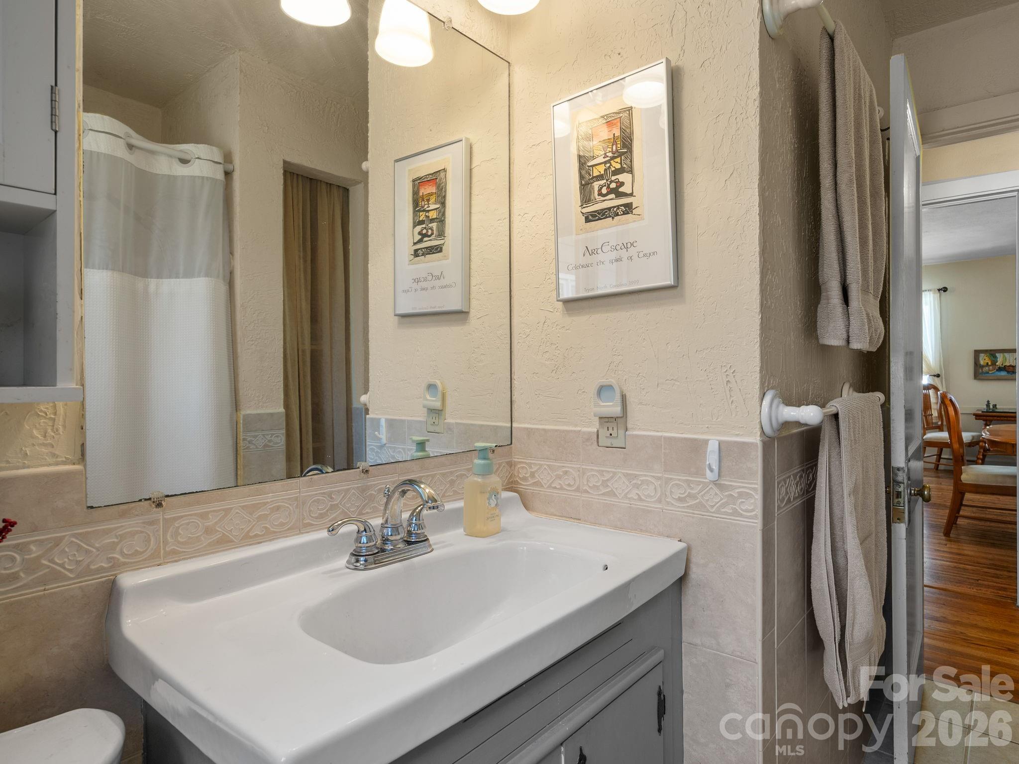 7 Rippy Road Tryon, NC 28782 - Photo 39 of 46 a bathroom with a sink and a mirror