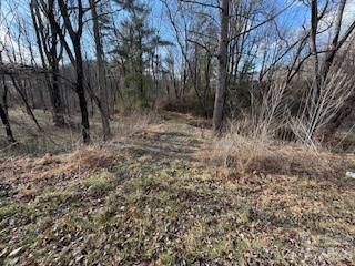 0 Worley Cove Road Canton, NC 28716 - Photo 11 of 12