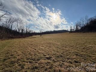 0 Worley Cove Road Canton, NC 28716 - Photo 4 of 12