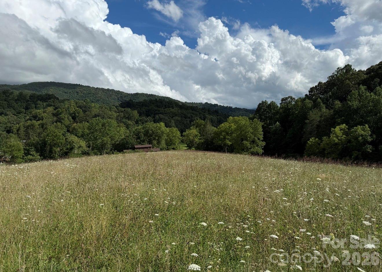 0 Worley Cove Road Canton, NC 28716 - Photo 8 of 12