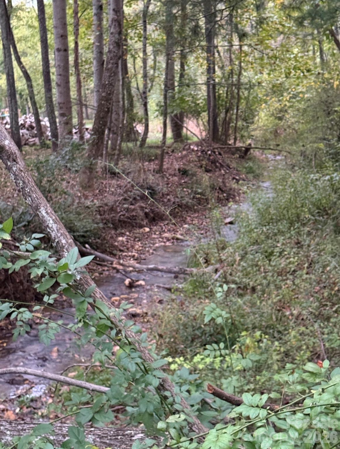 0 Worley Cove Road Canton, NC 28716 - Photo 10 of 12