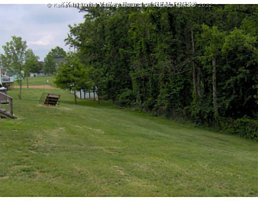 5456 Mt Union Road Fraziers Bottom, WV 25082 - Photo 11 of 11 Yard/Garden.