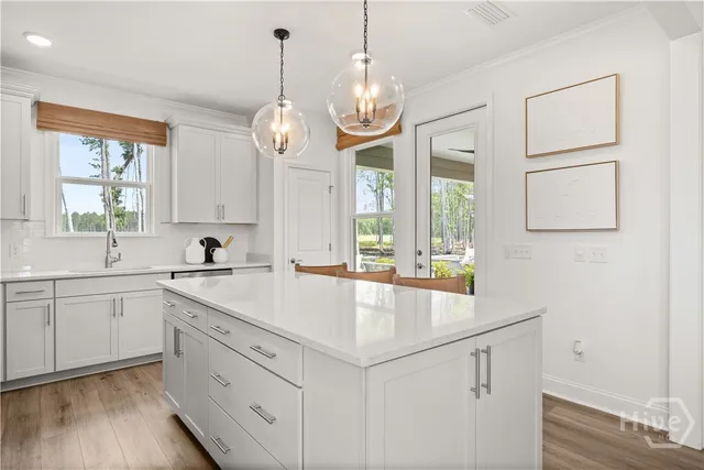 $413,633 | 51 Lilac Way, Richmond Hill, GA 31324