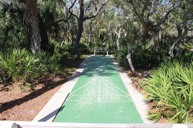 a view of a park with large trees