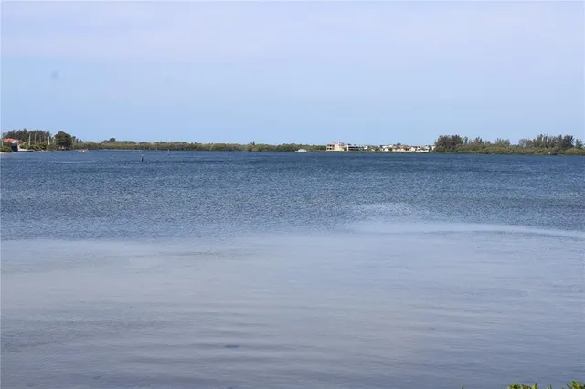a view of a potted plant next to a shower