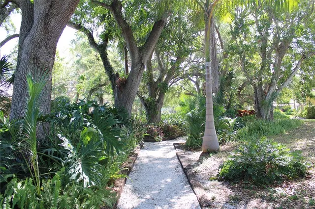 a front view of house with yard and outdoor seating