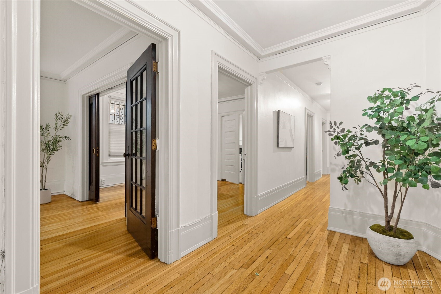 615 Boren Avenue, Unit 6 Seattle, WA 98104 - Photo 20 of 26 a view of a hallway with wooden floor and a potted plant