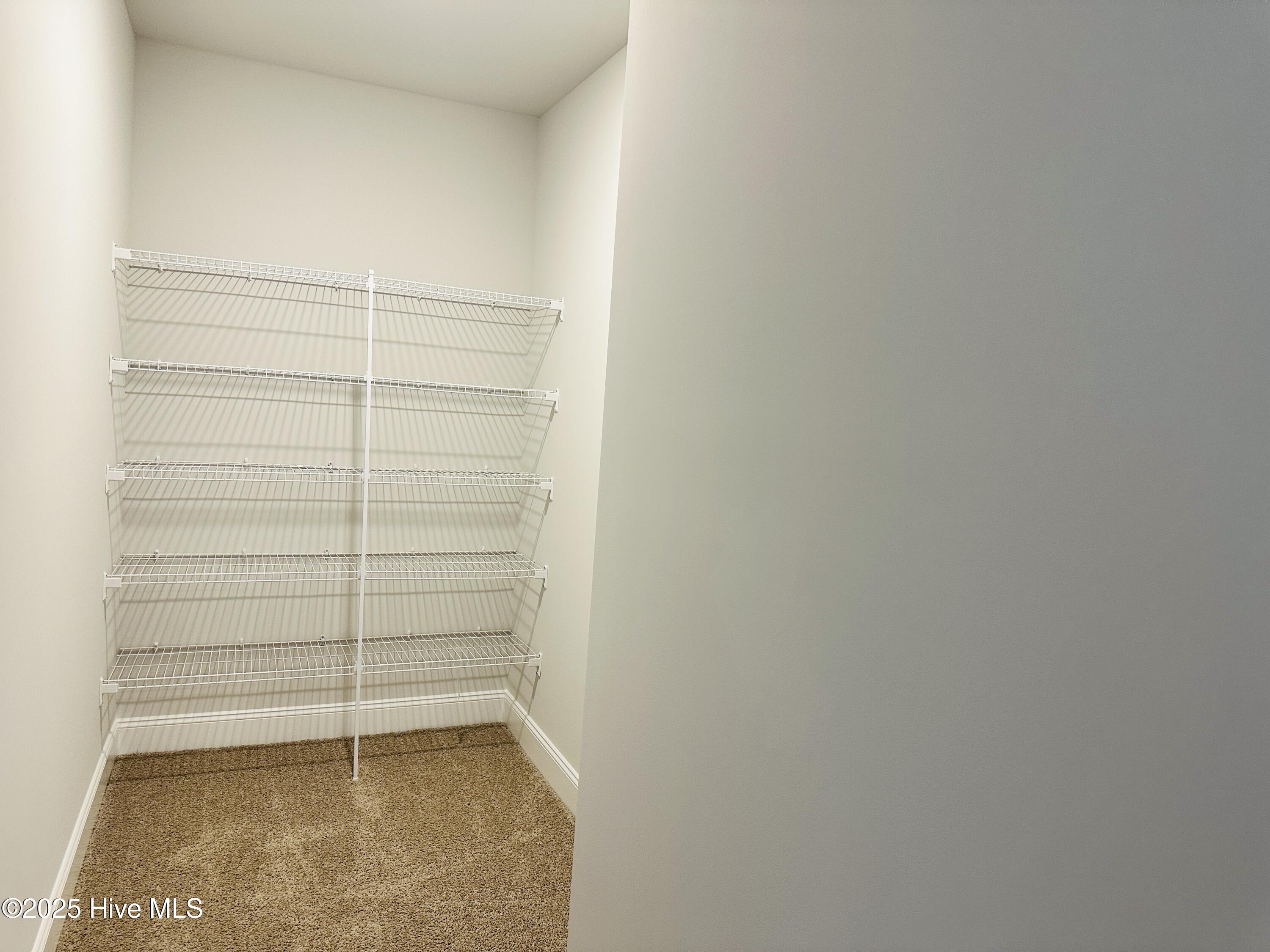 3982 Fletcher Road, Unit LOT 180 Bailey, NC 27807 - Photo 18 of 28 Large Storage Closet