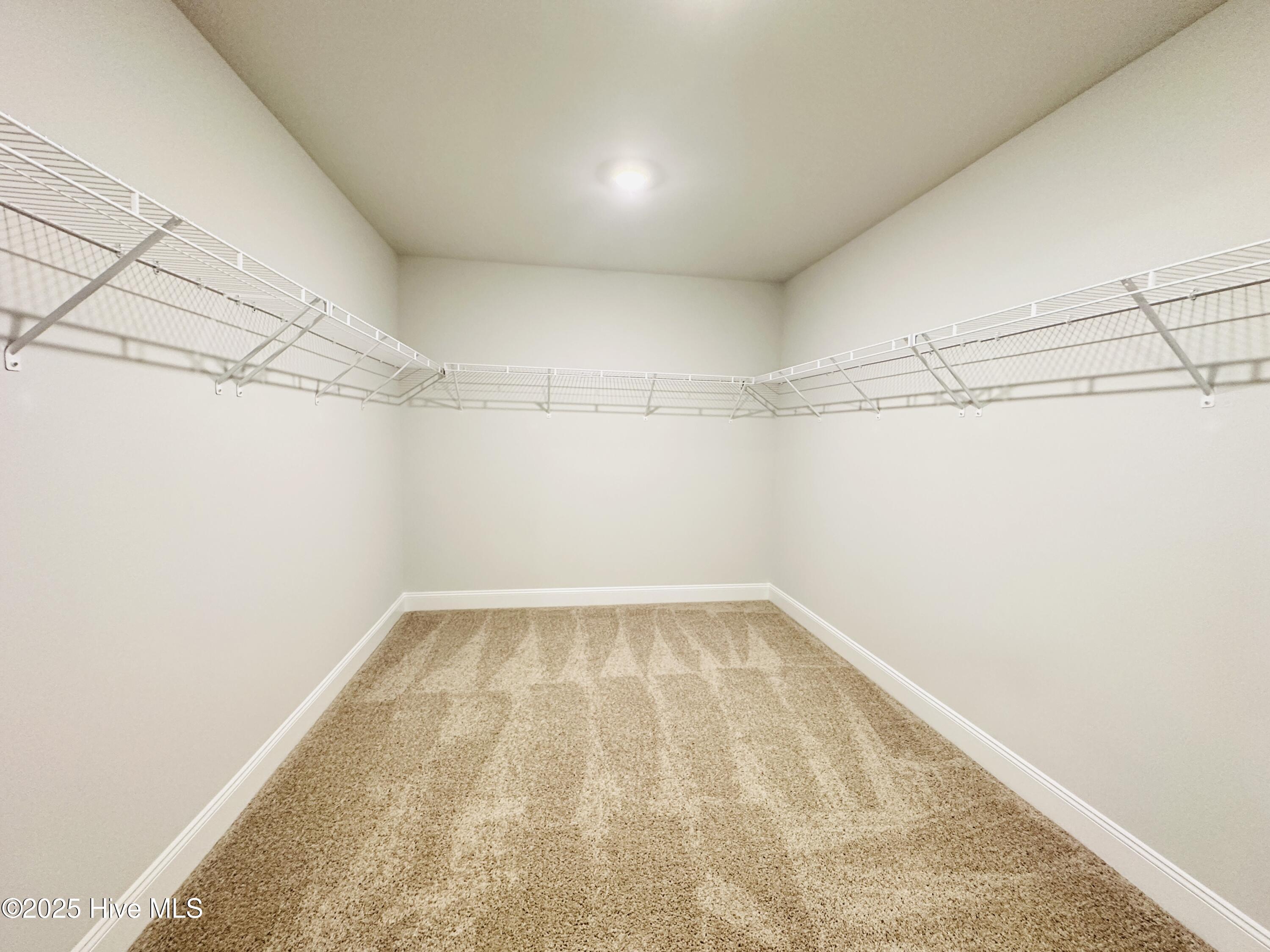 3982 Fletcher Road, Unit LOT 180 Bailey, NC 27807 - Photo 22 of 28 Primary Walk-in Closet