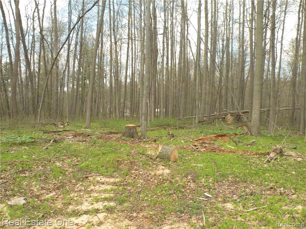 0 Mccormick Road Lapeer, MI 48446 - Photo 17 of 19