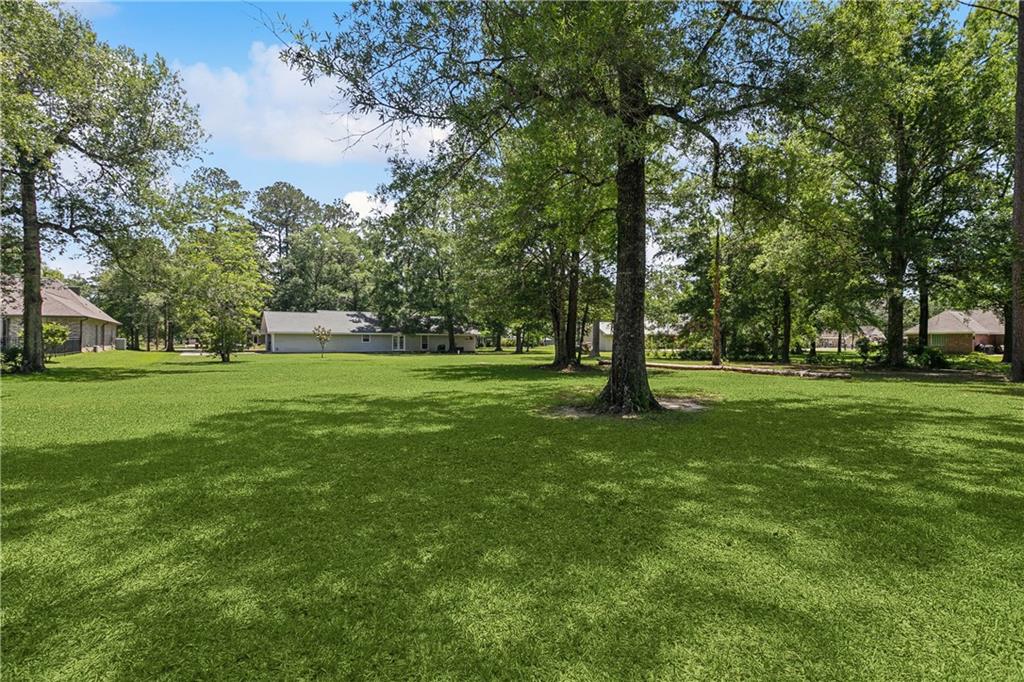 41357 Countryside Lane Hammond, LA 70403 - Photo 16 of 17