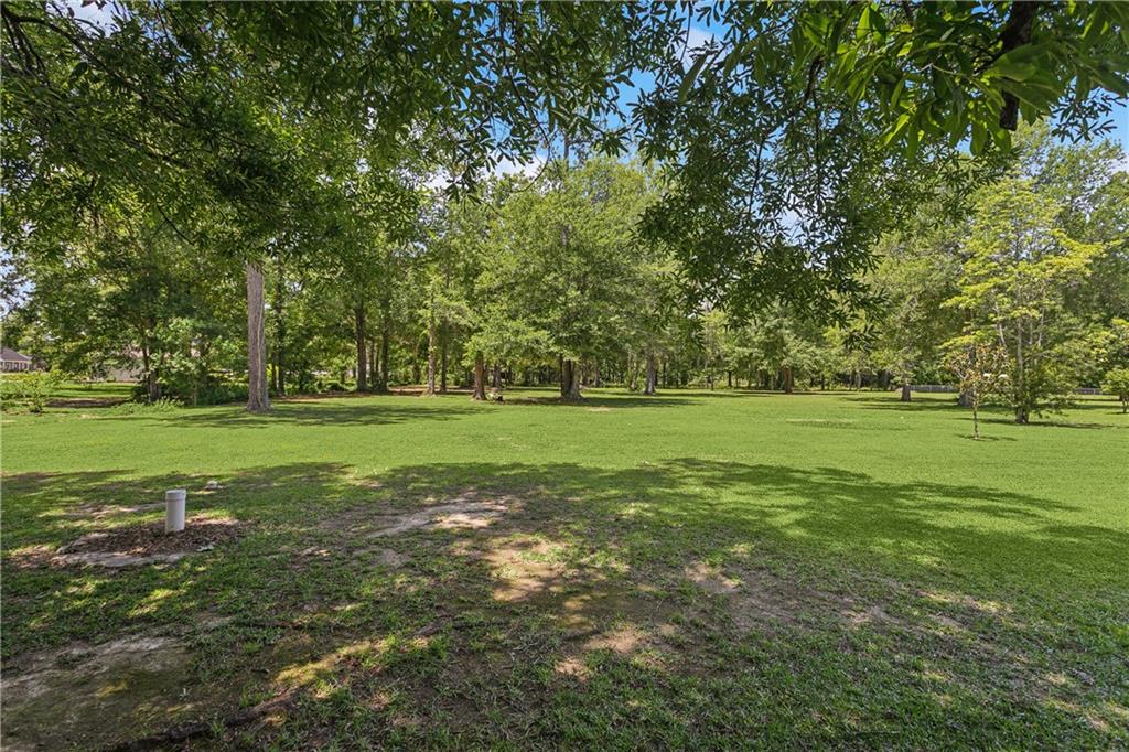 41357 Countryside Lane Hammond, LA 70403 - Photo 17 of 17