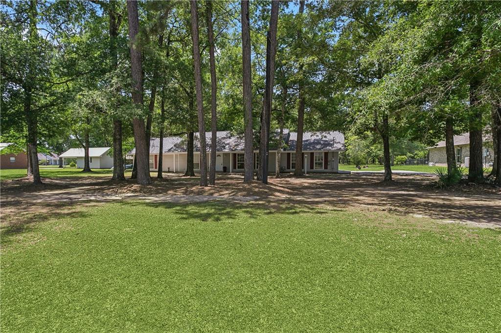 41357 Countryside Lane Hammond, LA 70403 - Photo 2 of 17